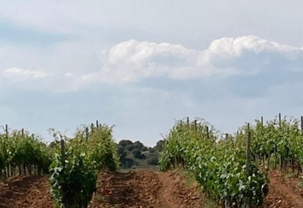 Apartamento Turistico Cerca Aranda De Duero La Ren Lecres Vadocondes Exteriér fotografie