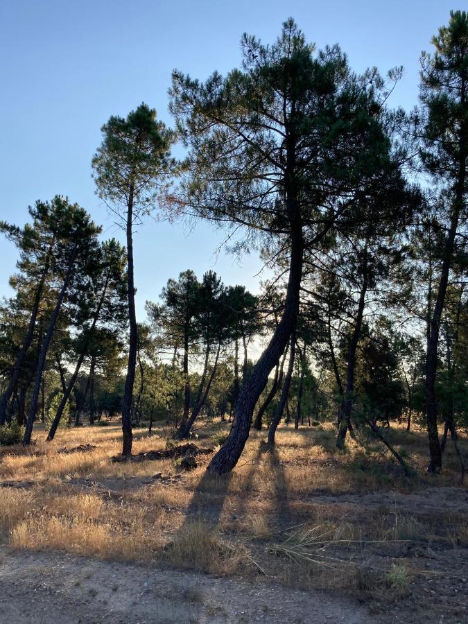 Apartamento Turistico Cerca Aranda De Duero La Ren Lecres Vadocondes Exteriér fotografie